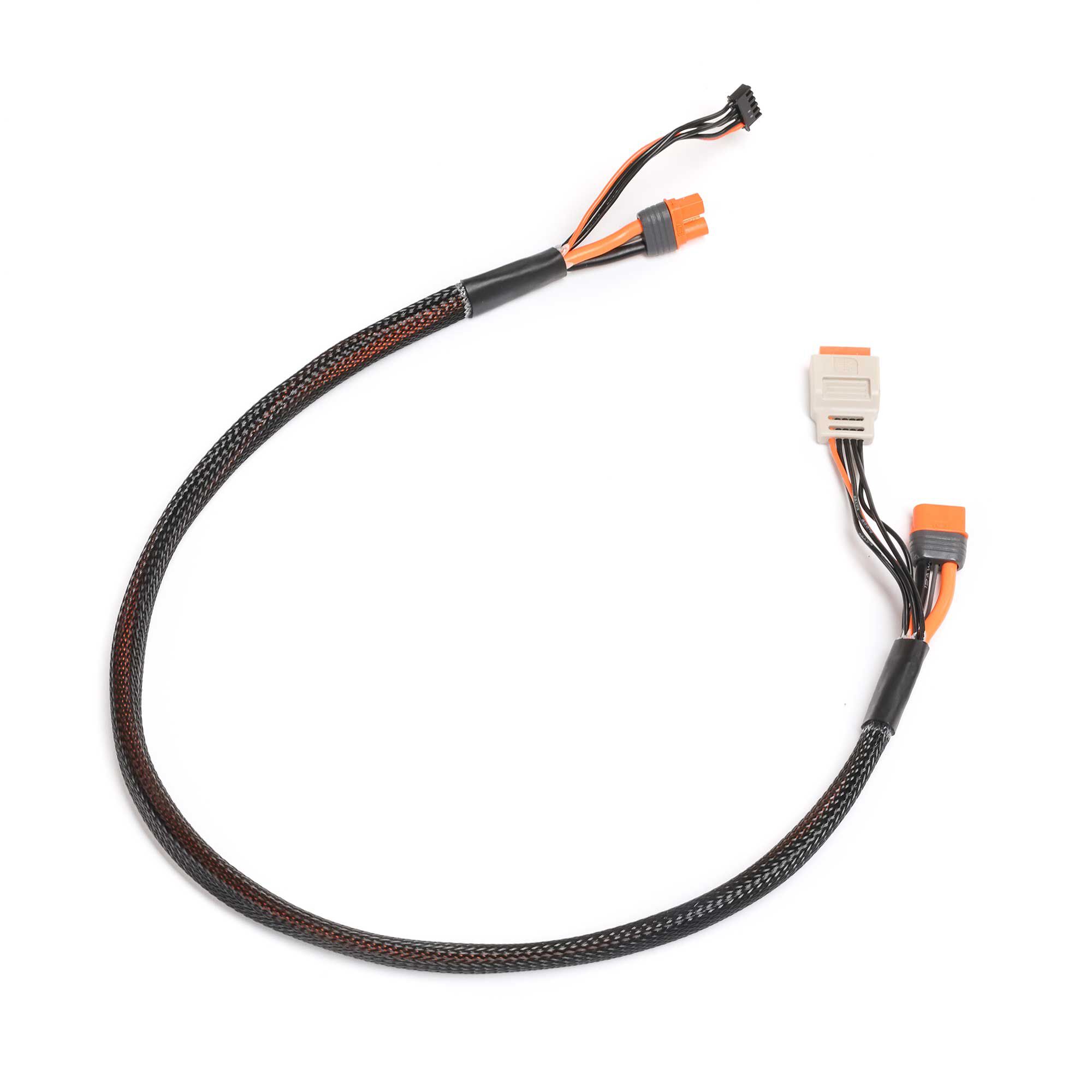 Spektrum Accessories Charge Lead with Balance Extension 24